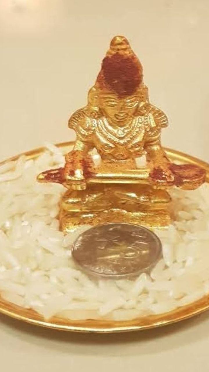 naidunia_image